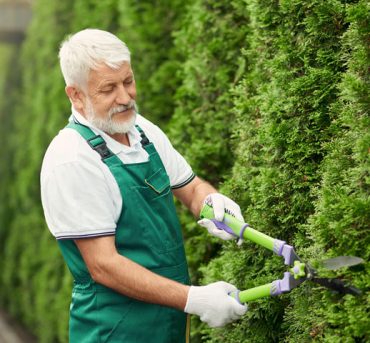 Pruning-plants